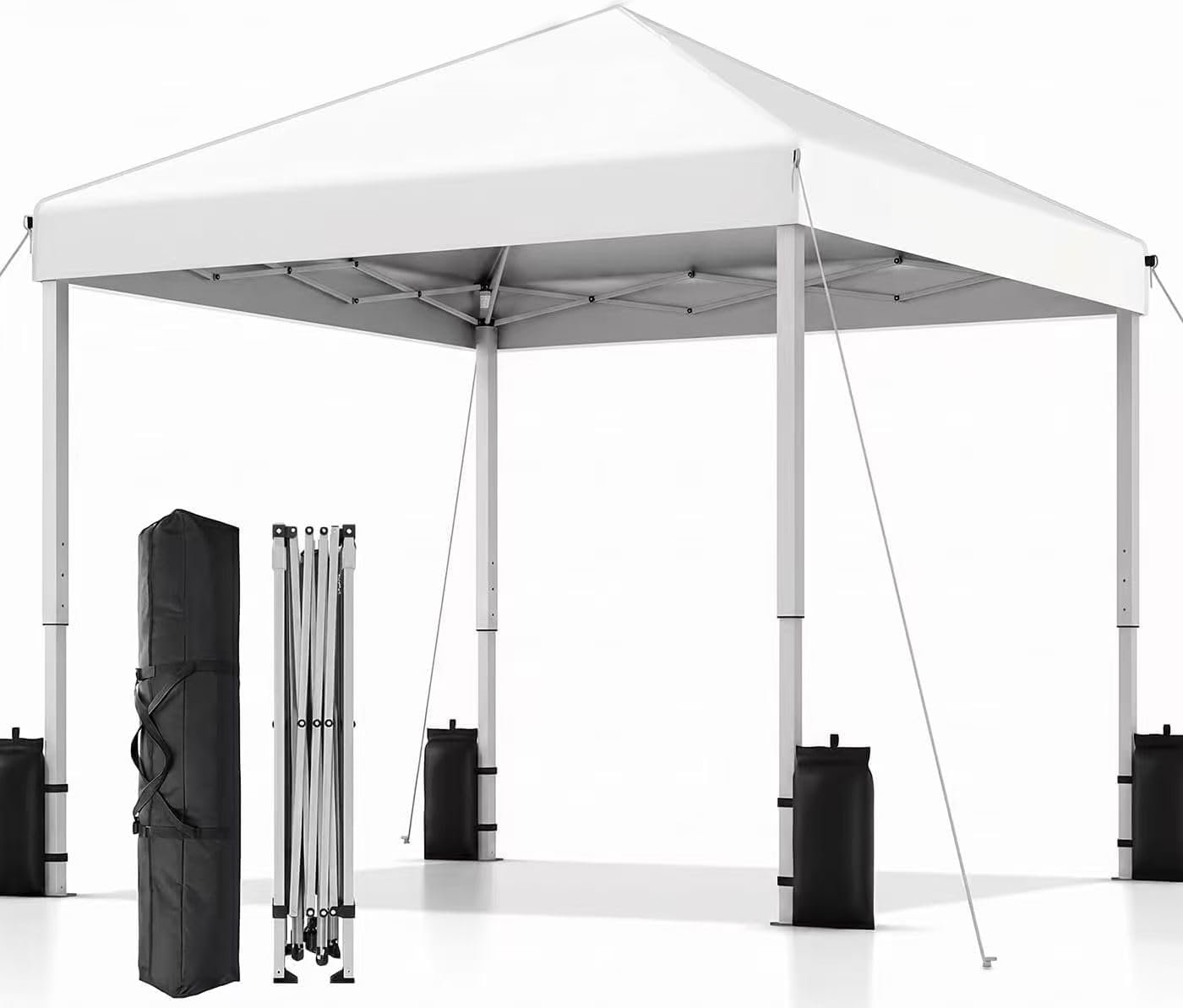 SANWAY 10×10 Pop Up Canopy Tent, One Push Setup, Instant Portable for Outdoor Events, Parties & Camping with 8 Stakes, 4 Ropes and Carry Bag, Silver White