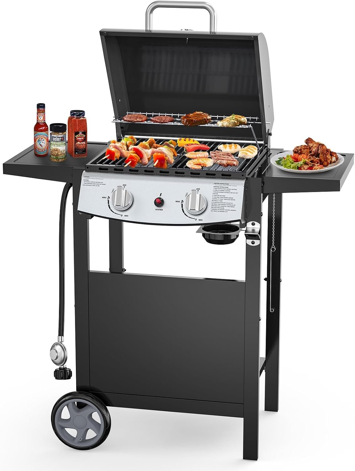 Electactic 2-Burner Propane Gas BBQ Grill, 20,000 BTU Stainless Steel Grill with Side Shelves and Wheels, Portable Outdoor Grill for Patio, Backyard, Garden, or Camping Cooking