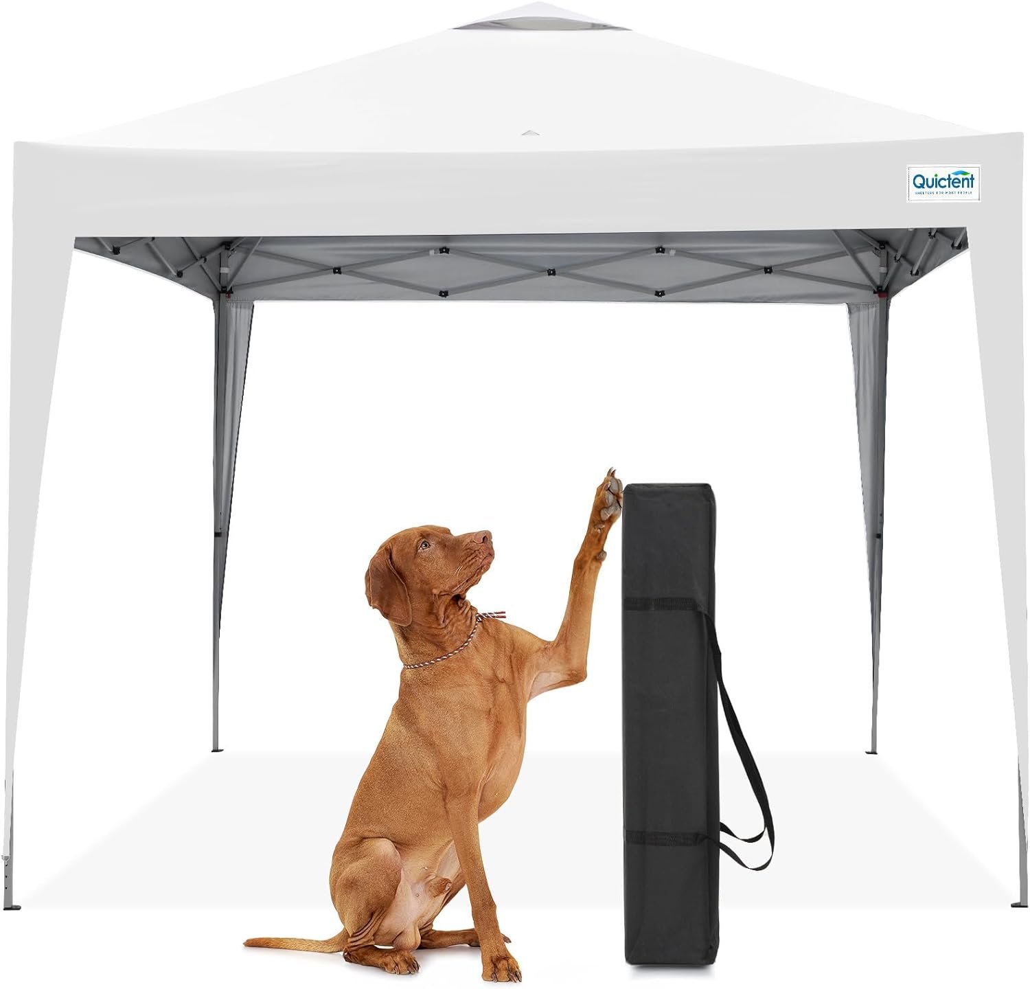 Quictent 10×10 Pop Up Canopy Tent Without Sidewall, Instant Setup Gazebo for 1 Person, Portable & Compact, Waterproof & UV Protection, Ideal for Camping, Beach, Parties, and Outdoor Events