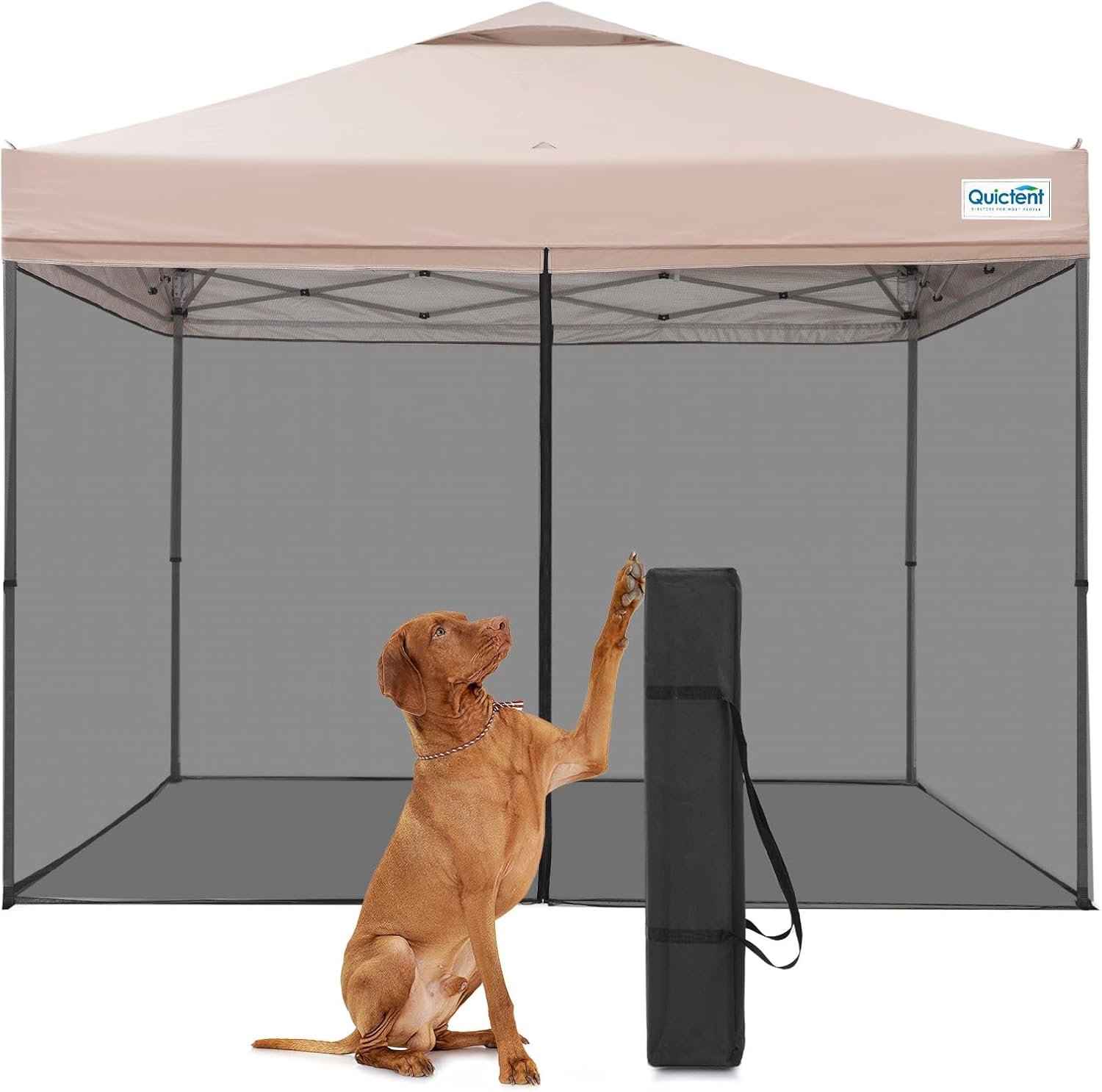 Quictent 10×10 Pop Up Screened Canopy Tent with Netting | Instant Setup for 1 Person, Portable & Compact, Waterproof & UV Protection, Ideal for Camping, Beach, Party & Outdoor Event