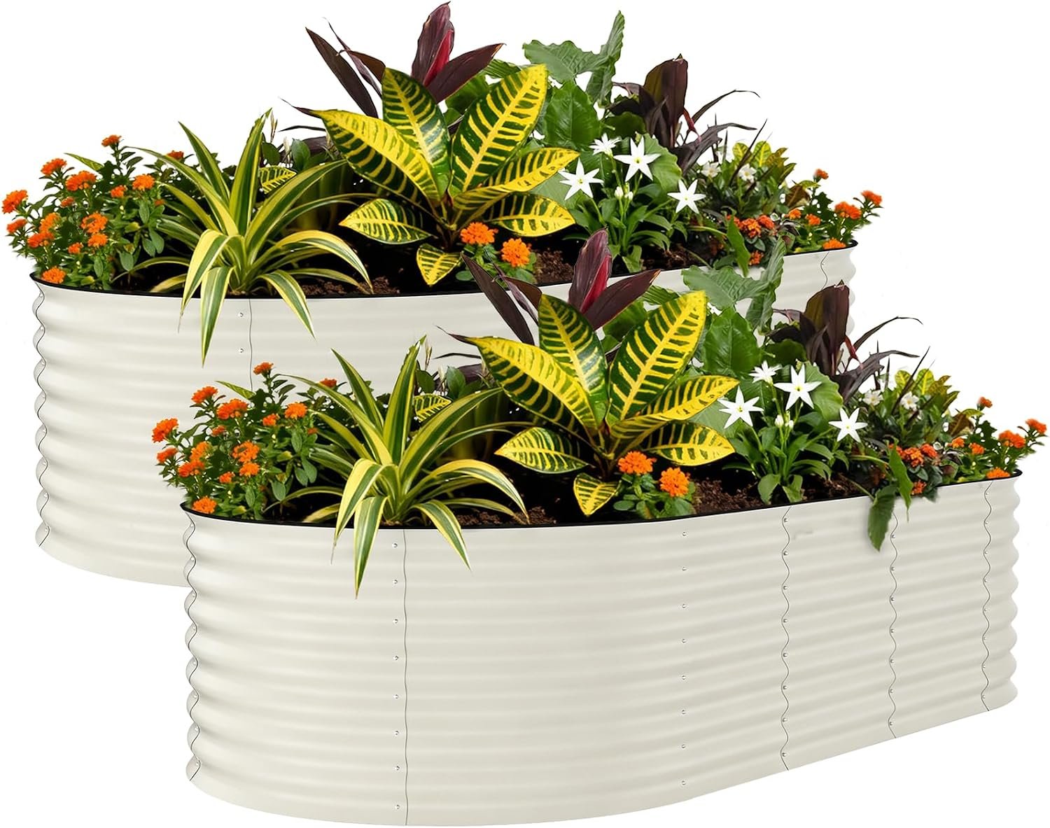Garvee 2 Pack 8x4x2ft Galvanized Raised Garden Bed Kit, Oval Metal Planter Boxes with Anti-Cut Safety Edges, Rust-Resistant Deep Root Planters for Outdoor Vegetables, Flowers, Herbs, Beige | 0.6mm Thick Steel Raised Garden Kit with Anti-Cut Safety Edges, For Vegetables, Herbs & Flowers, Rust-resistant, Beige