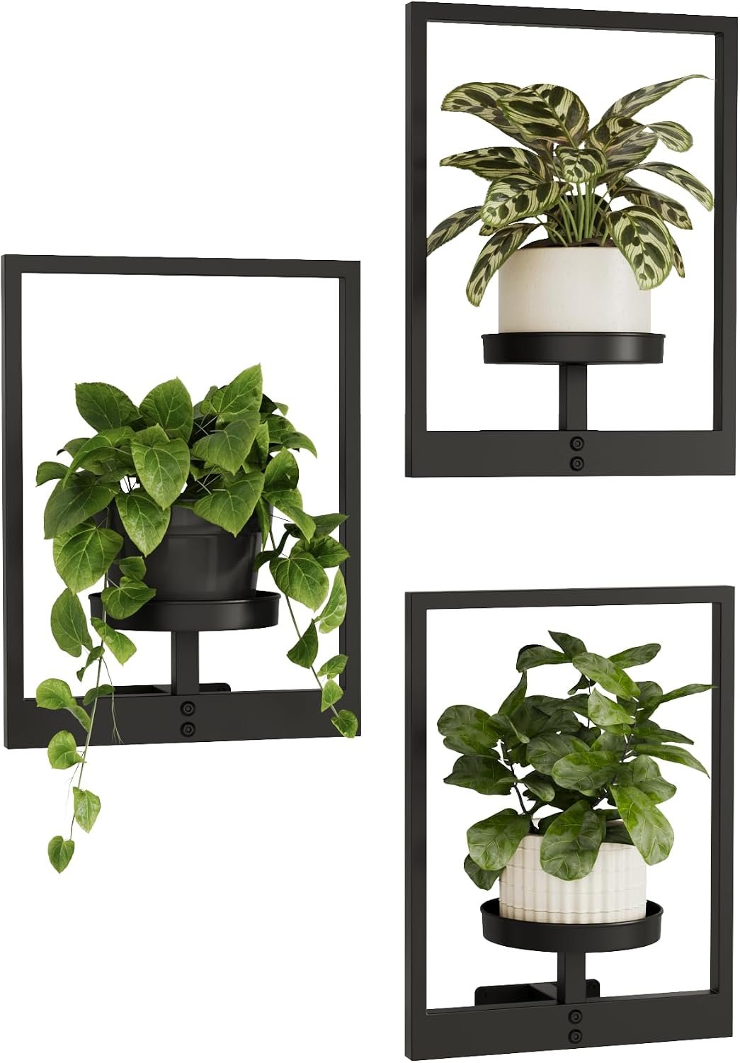 Bamworld Hanging Planters for Indoor Plants Wall Decor Living Room Plant Stand Indoor Wall Planters Plant Hanger Window Plant Shelves 3 Pack for Outdoor Entryway