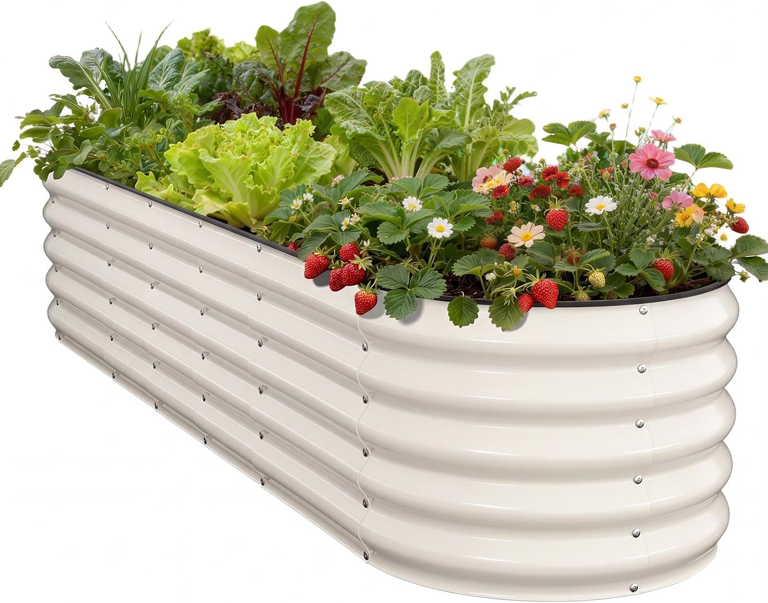 Pattiumo Galvanized Raised Garden Bed 8×2×1.5 FT, Round Metal Raised Garden Bed Outdoor Planter Box with Open Bottom, Rust-Resistant Steel Garden Bed for Vegetables Herbs Flowers, Easy Assembly