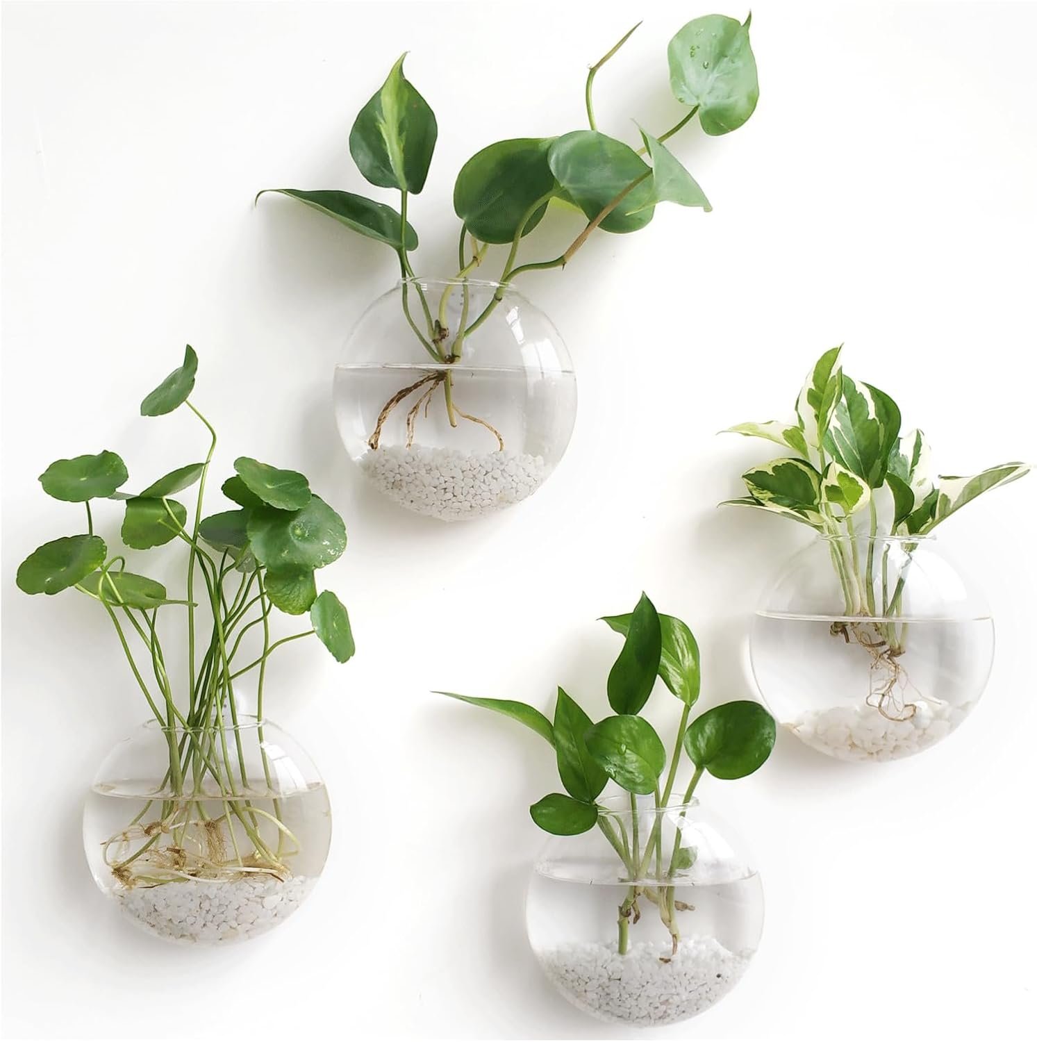 Mkono Wall Hanging Planter Propagation Station Glass Flower Vase for Hydroponics Plants, Bathroom, Home Office Living Room Decor Gift, Oblate Set of 4(Plants not Included)