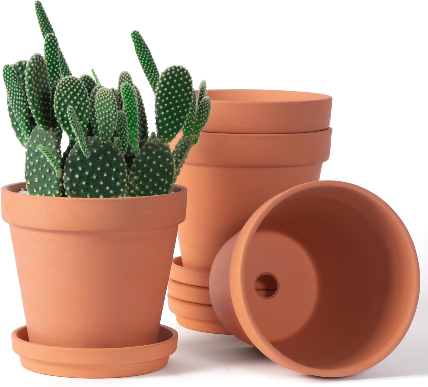 Orceler 6 inch Terracotta & Clay Pots for Plants with Saucer, Medium Terra Cotta Plant Pots with Drainage Hole, Flowerpot with Tray, Terracotta Pot for Indoor Outdoor Plant – Pack of 4 Planters