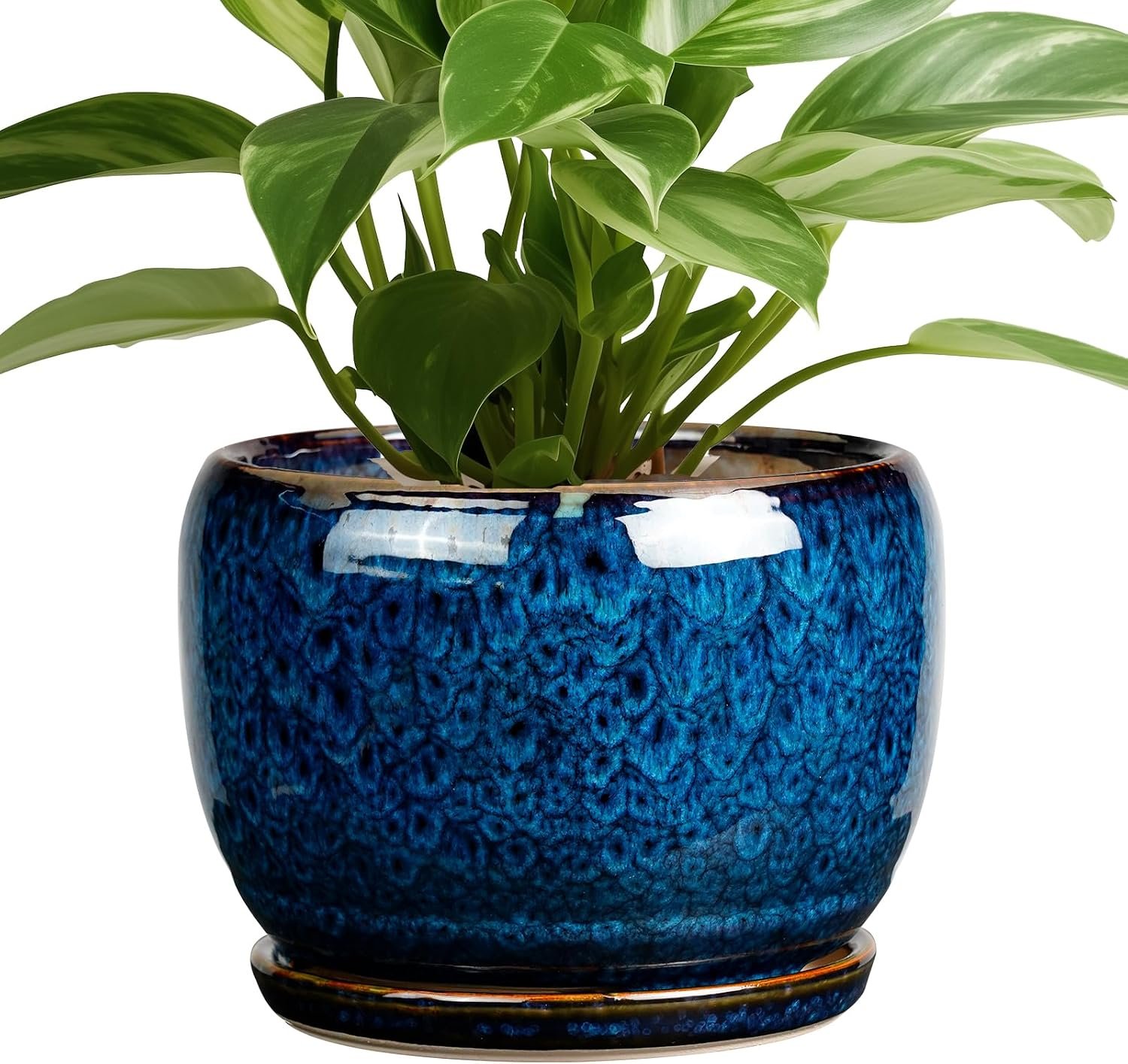SQOWL Ceramic Planter 8 Inch – Pot for Indoor Outdoor Plants Round Ceramic Plant Pot with Drainage Hole and Saucer Modern Flower Pot Glazed Blue