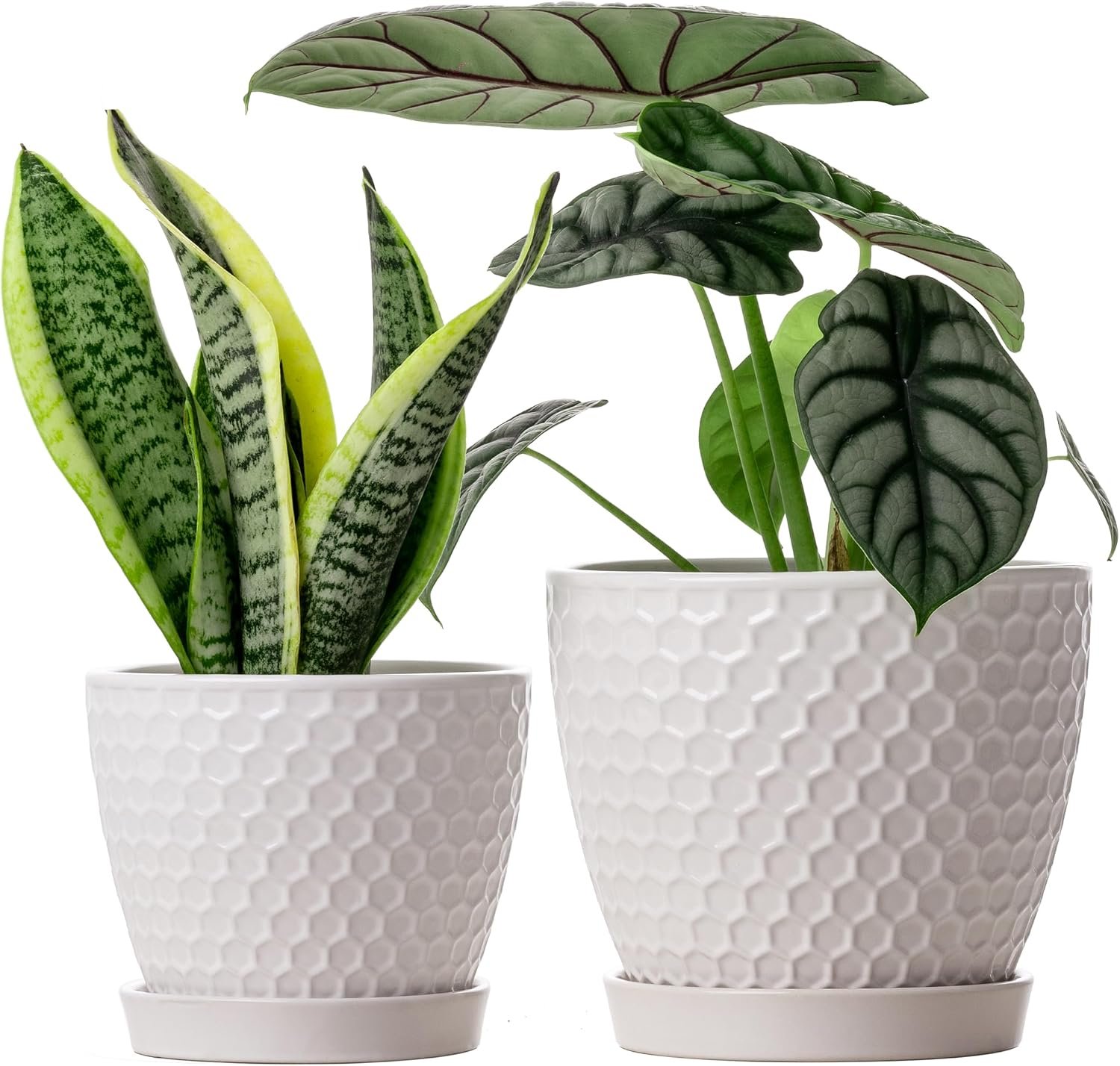 Docrin Ceramic Plant Pots Set of 2 (6.6″+5.5″), High-Fired Clay Indoor Planters with Drainage Holes & Saucer, Honeycomb Modern Home Decor for All House Plants