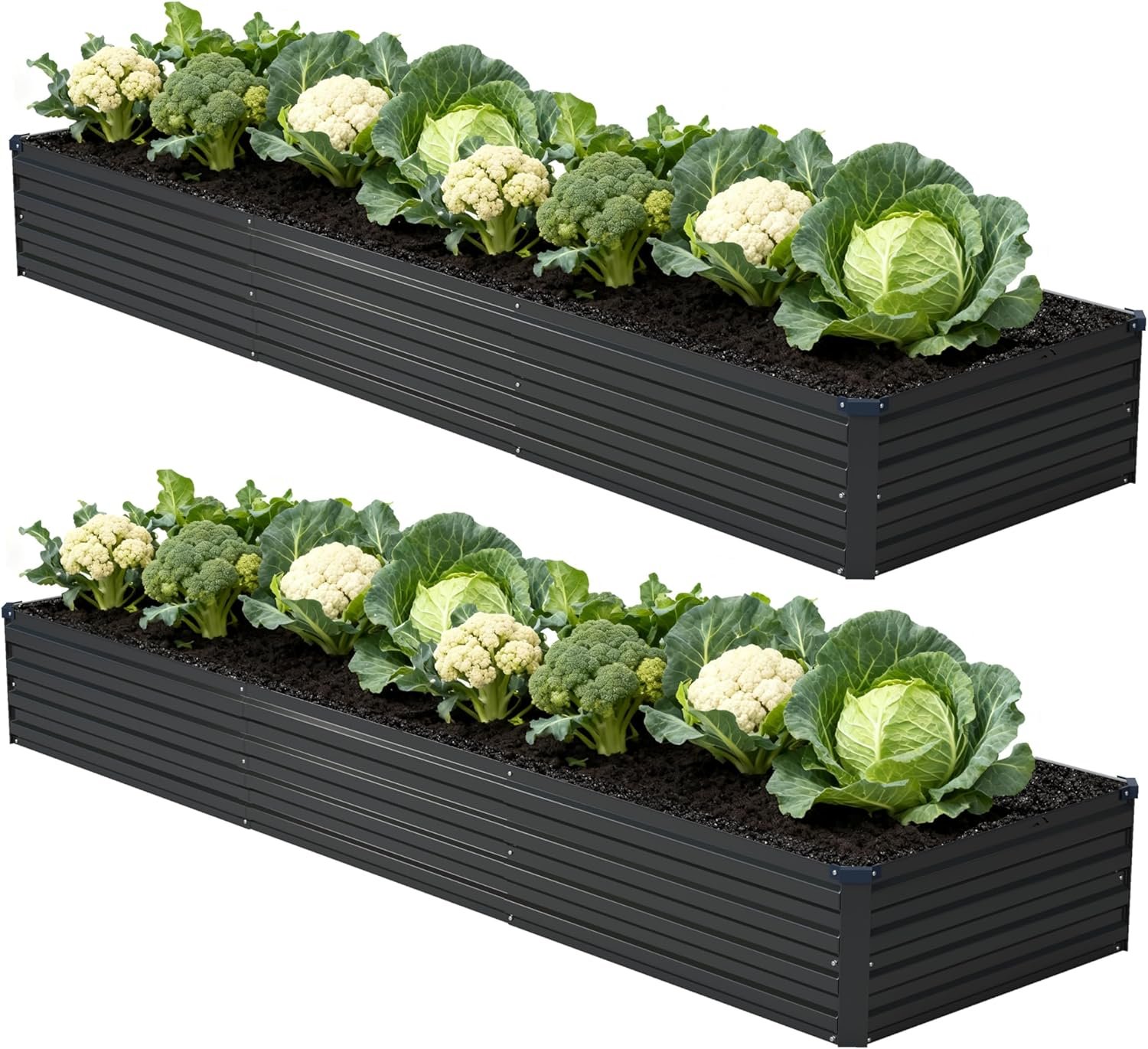 Foxlang 12x2x1ft(2 Pack) Galvanized Raised Garden Bed,Outdoor Planter Box Metal Patio Kit Planting Bed for Vegetables Flowers Herb,Black