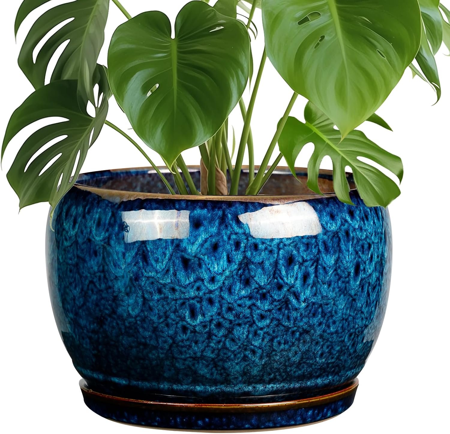 SQOWL 10 Inch Plant Pot – Ceramic Planter Pot with Drainage Hole and Saucer, Decorative Plant Pot for Indoor Outdoor Plants, Round Large Planter Flower Pot, Blue